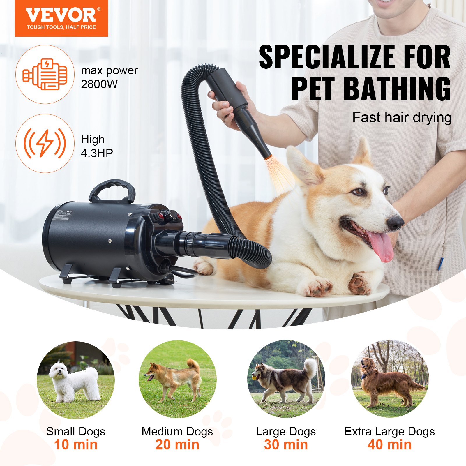 Secador para Perros de 2800W/4.3CV con Control de Velocidad y Temperatura, Secador para Mascotas con 4 Rosetas y Manguera Extensible, Negro — imagen 2