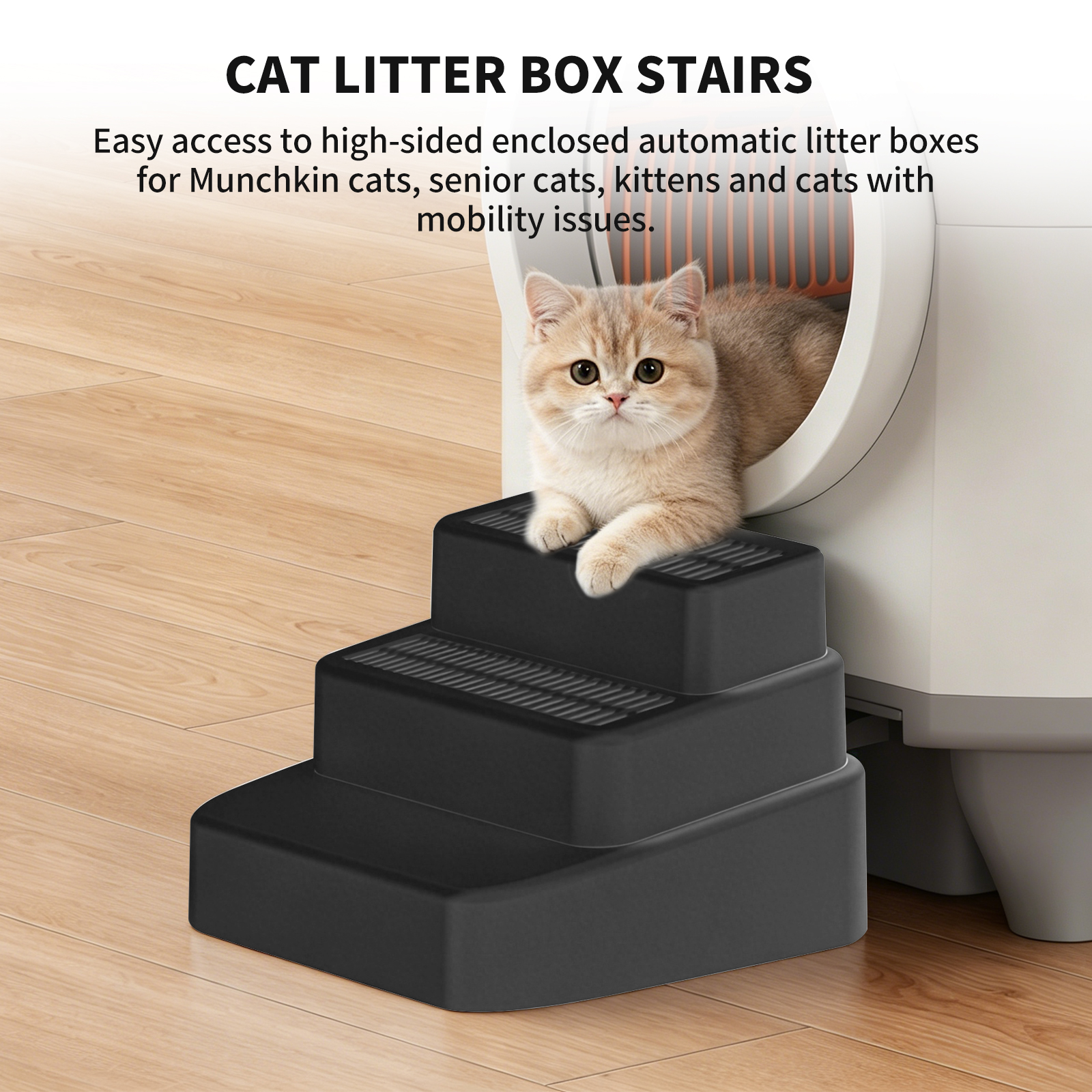 Solo Recogida en Tienda - Escalera para Gatos — imagen 1