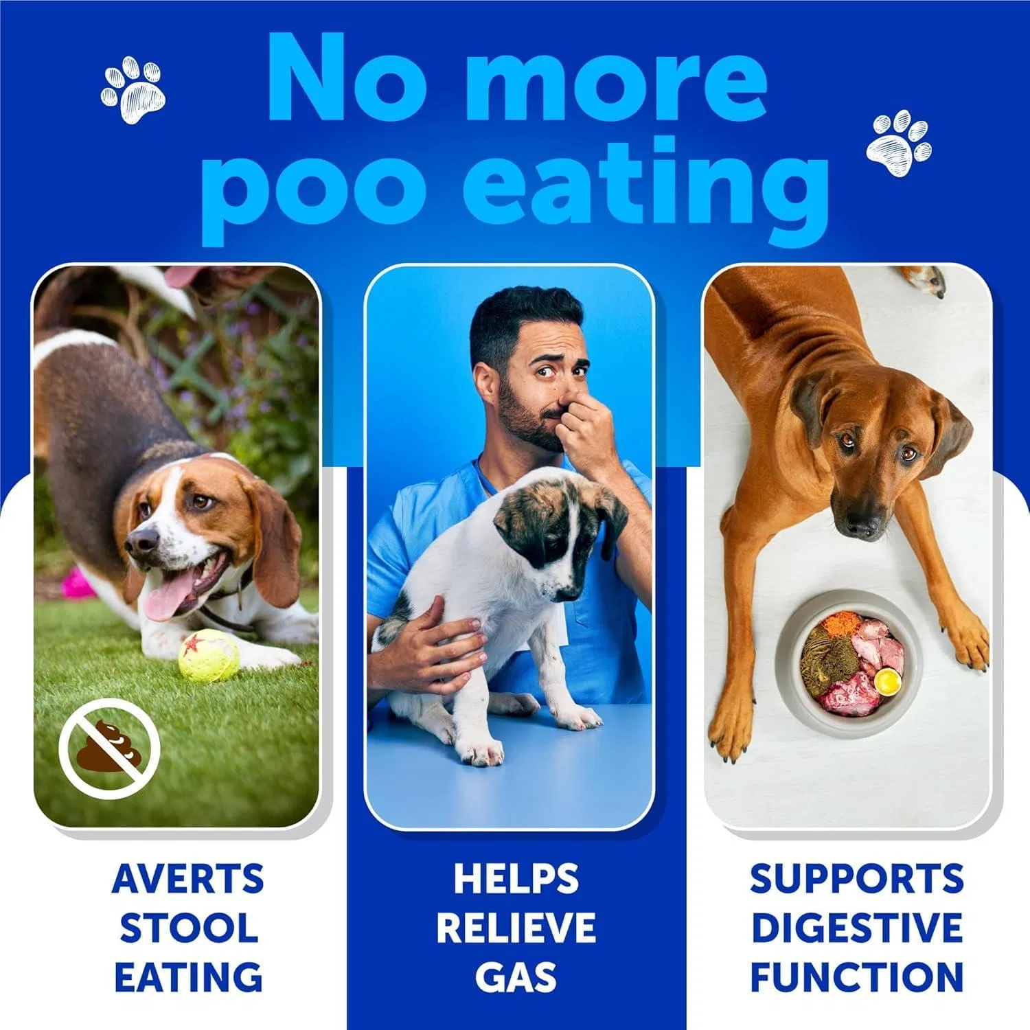 Chewingas Anti-Caca para Perros: Prevención de Coprofagia y Estómago Saludable con Probióticos y Enzimas para Cachorros — imagen 2