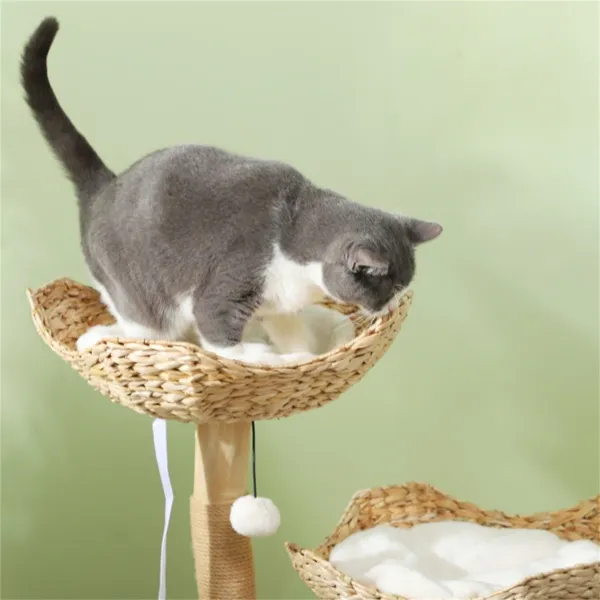 Cat Tree — image 5
