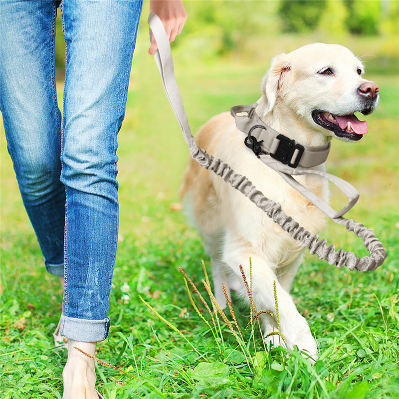 Collar Táctico para Perros - Collar de Nylon Exterior para Canes Grandes y Medianos - Collar para Perro — imagen 6