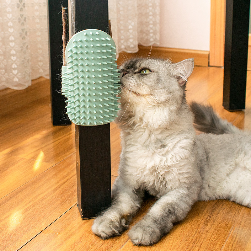 Corner Rubbing Device Rubbing Itching Massage Comb Cat Toy Teasing Cat Stick Pet Cat Supplies — image 4