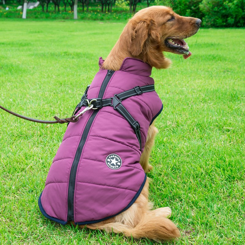 New Pet Clothes Reflective Rush Suit Big Dog Clothes Warm Dog Clothes In Autumn And Winter Pet Supplies — image 4