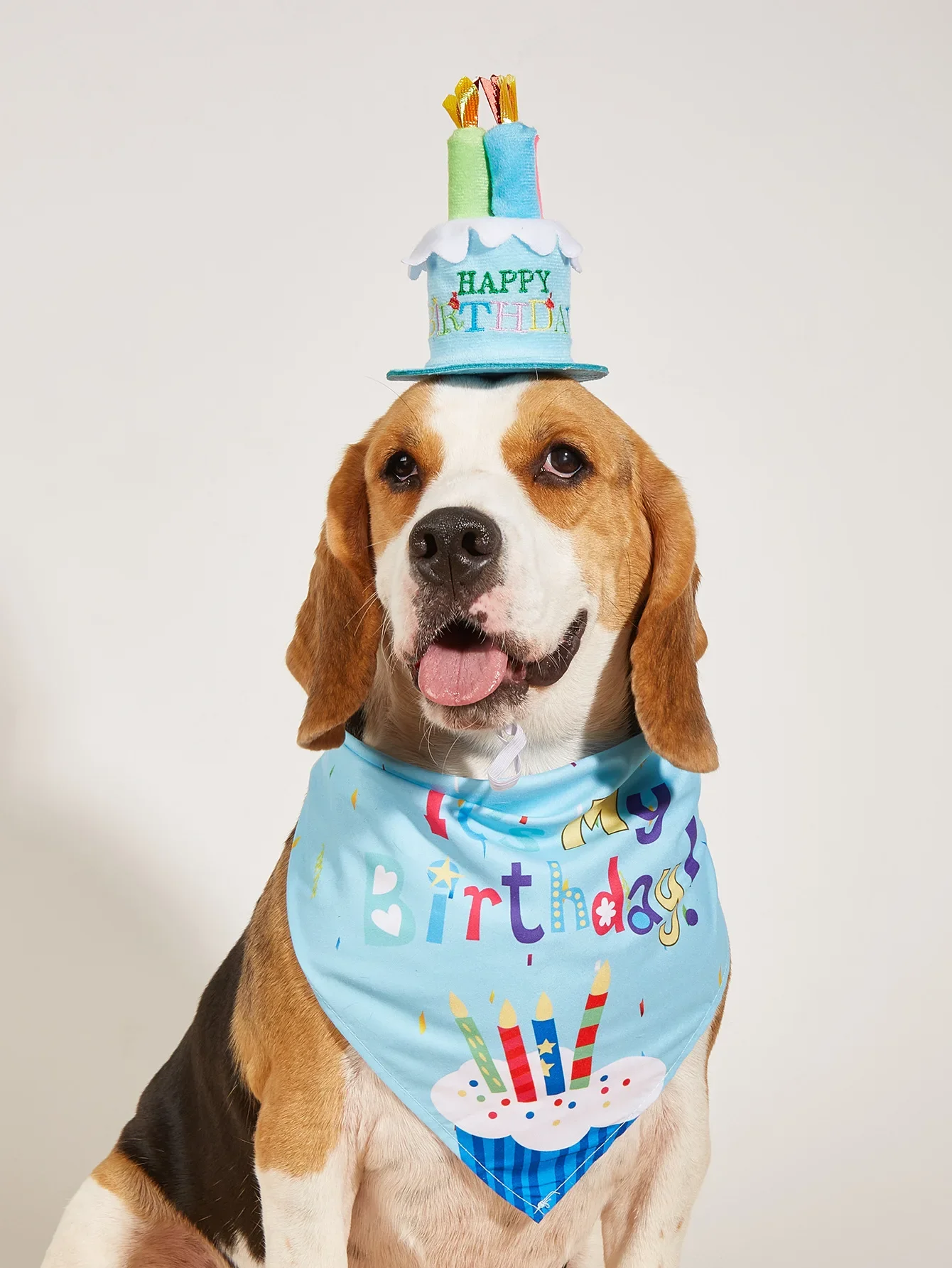 Decoración de Cumpleaños para Perros - Sombreros con Nudo y Bandanas — imagen 1