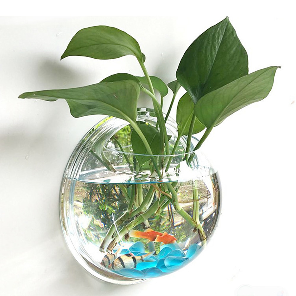 Pot Plant Wall Mounted Newest Hanging Decor Bubble Bowl Flowers Fish Tank Home Decor Aquarium Home Decoration Accessories — image 3