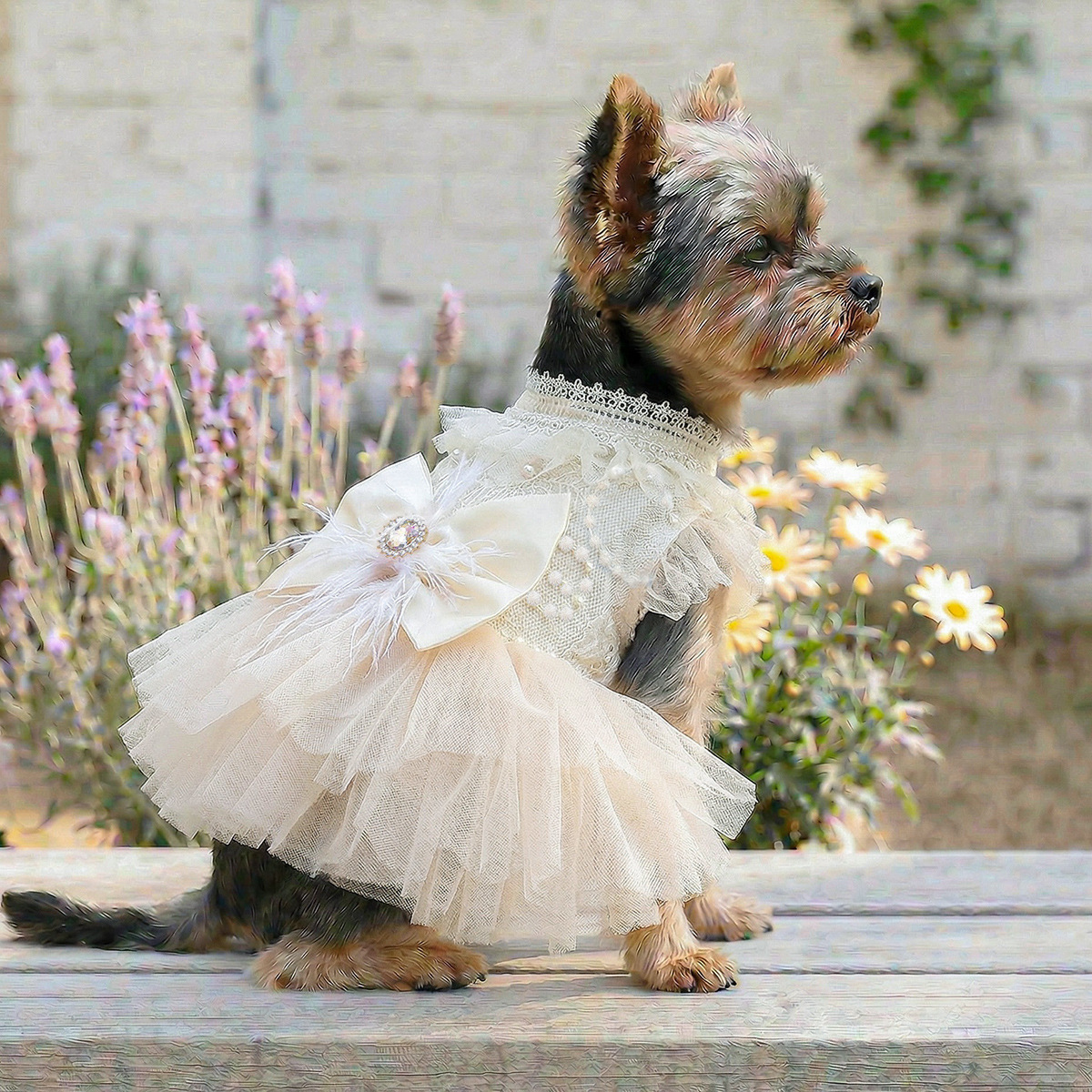 Pet Dog Cat Clothes Cute Small Dog Autumn Winter New Muse Wedding Dress Gown — image 1