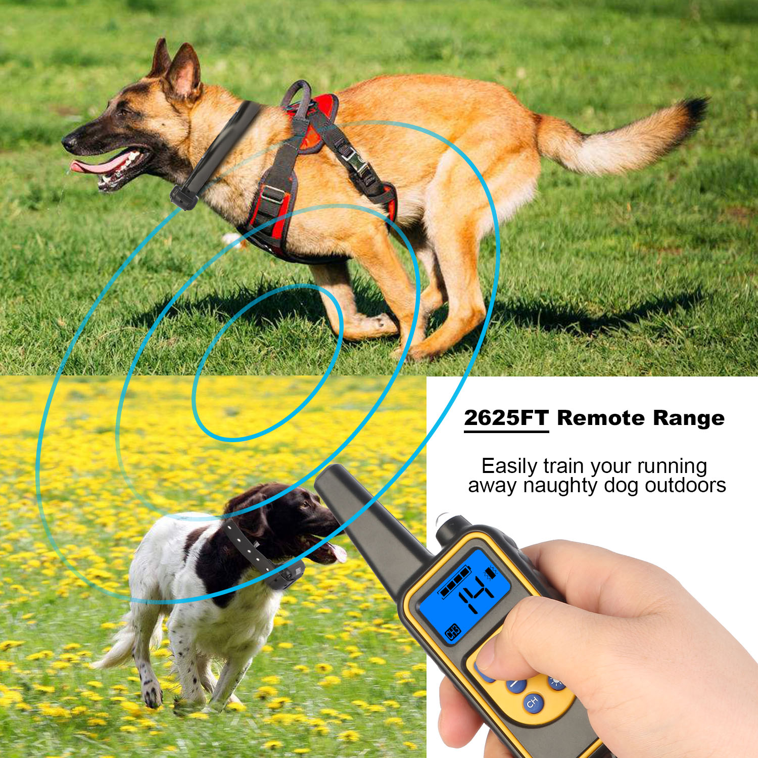 Cinturón de Adiestramiento para Perros con Control Remoto IP67 Resistente a Agua y Polvo Pet Trainer 300mAh Recargable 875 Yardas Control Remoto 4 Modos Niveles Ajustables — imagen 10