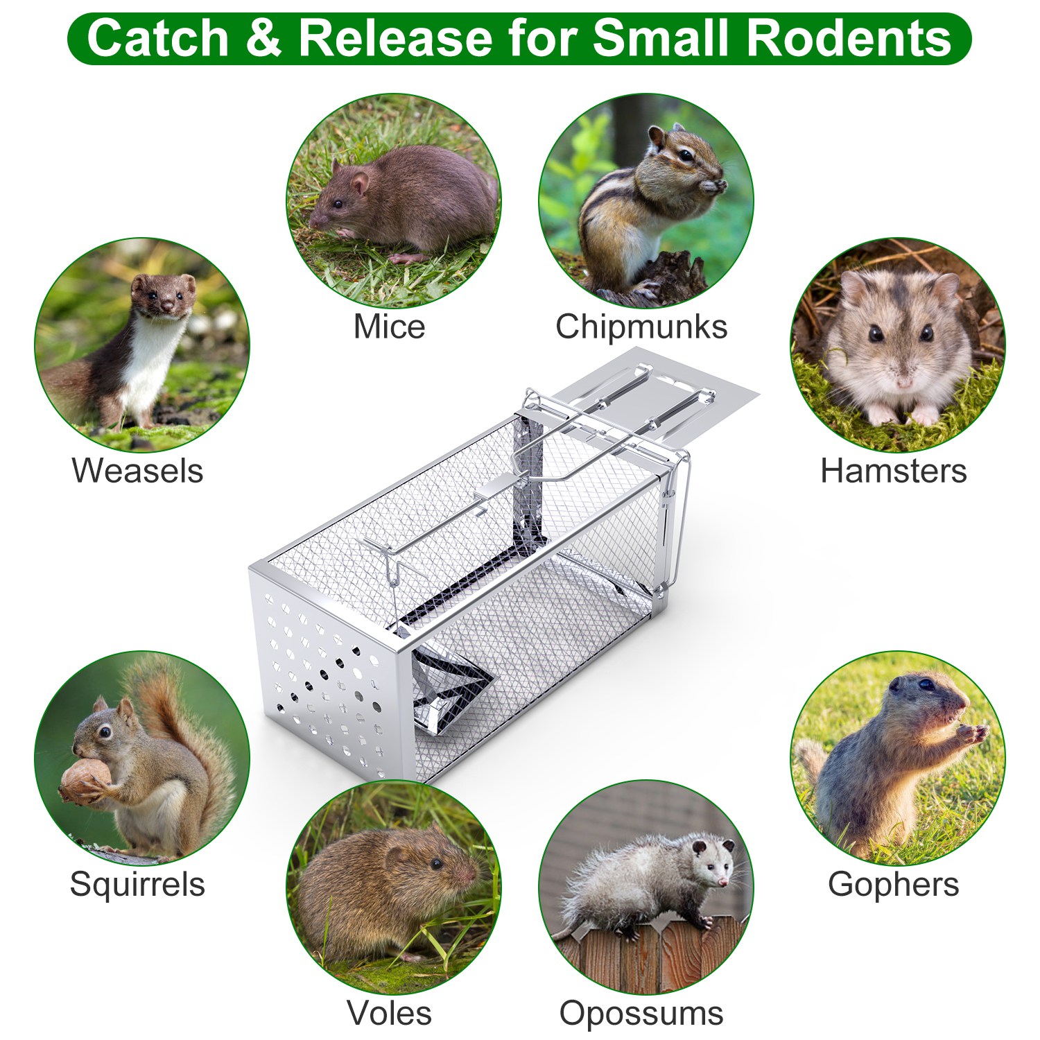 Caja de Trampa para Ratas con Puerta Única - Humano y Eficaz para Roedores Pequeños — imagen 6