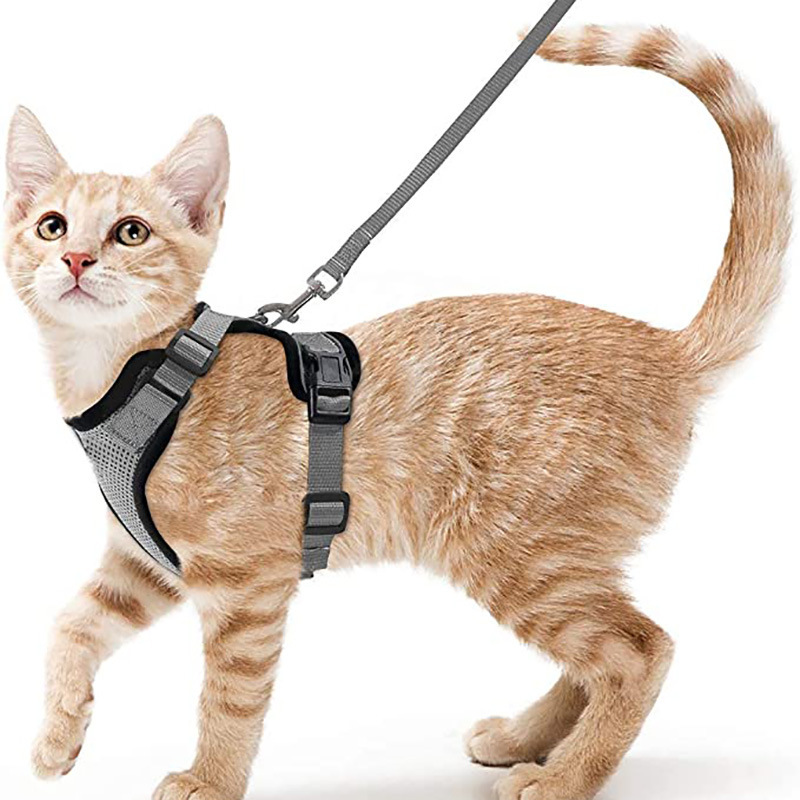 Arnes y Correa para Gatos con Control Fácil, Inescapable - Arnes de Vestido Suaves y Ajustables para Pasear a los Gatos — imagen 5