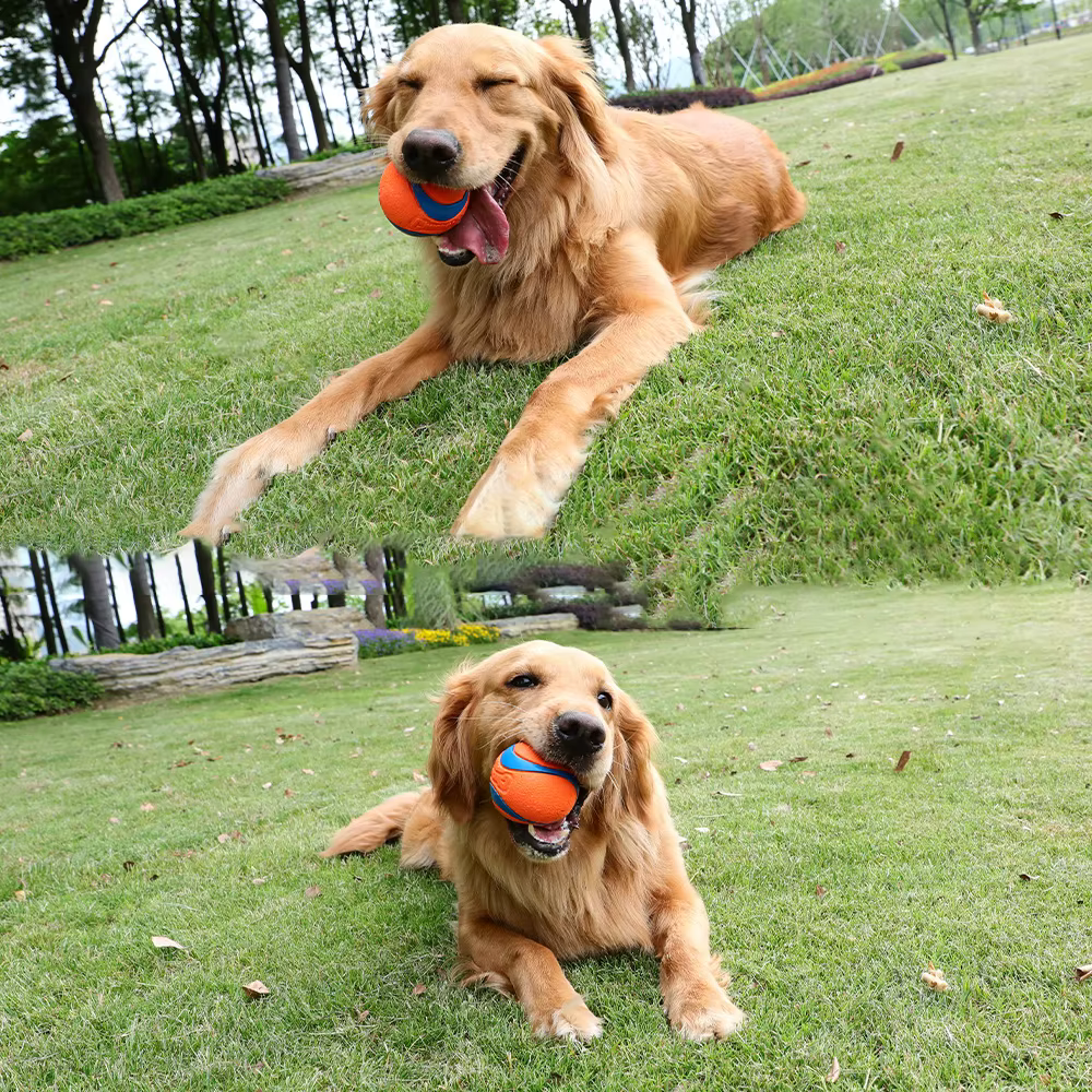 Pelota de Sonido de Goma para Perros - Juguetes Bocales con Ruido Natural — imagen 4
