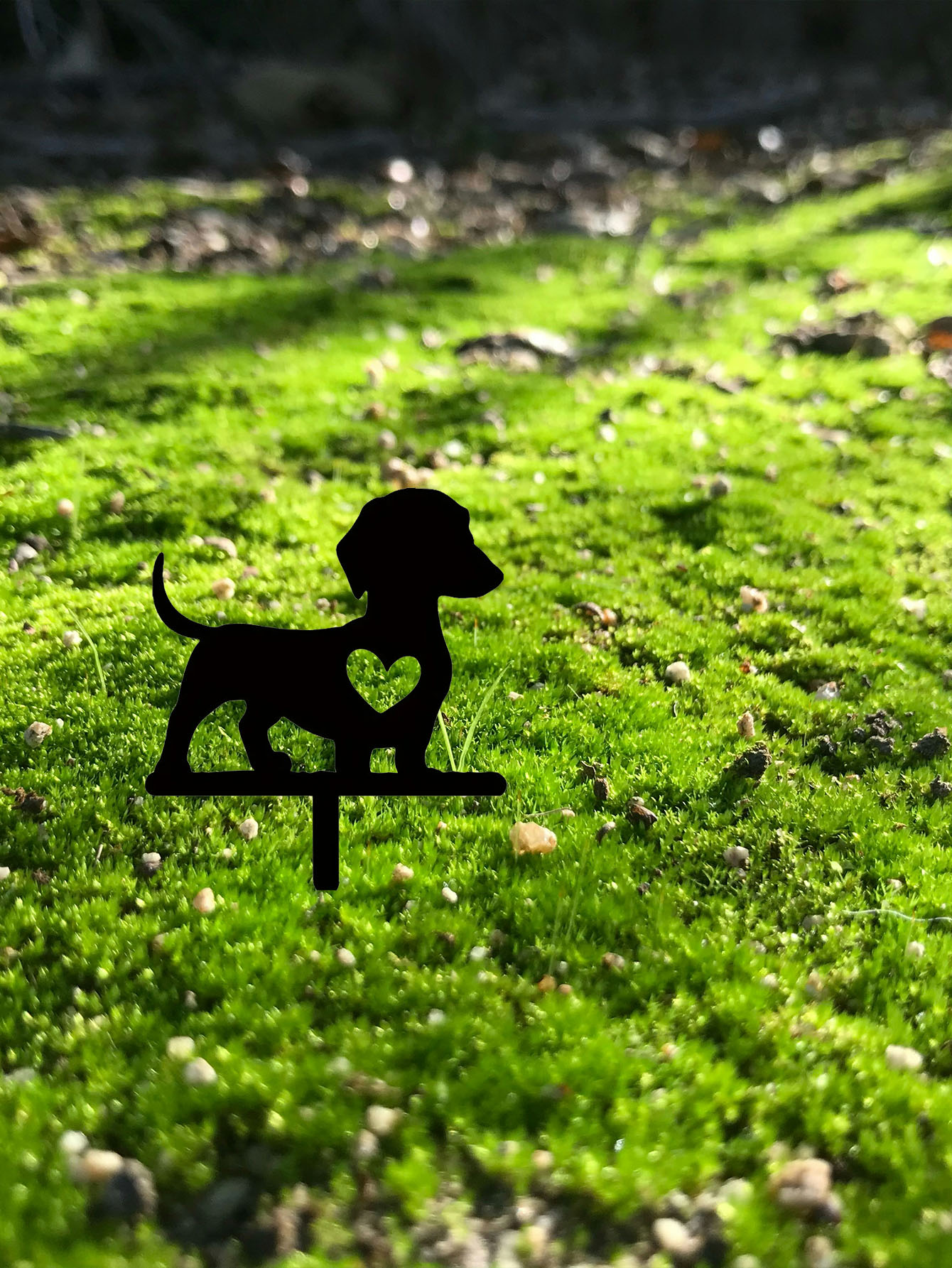 Placa de Recuerdo Personalizada para Mascotas - Regalo de Duelo para Perros con Grabado a Mano — imagen 6