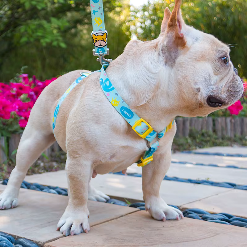 Dog Harness And Leash Set No Pull Fashion Puppy Waliking Leash Rope French Bulldog Chihuahua Lead Leash For Small Dogs Yorkies — image 5