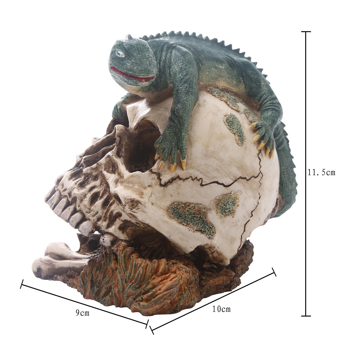 Skeleton Head Resin Skeleton Head Animal Skull Ornament — image 6