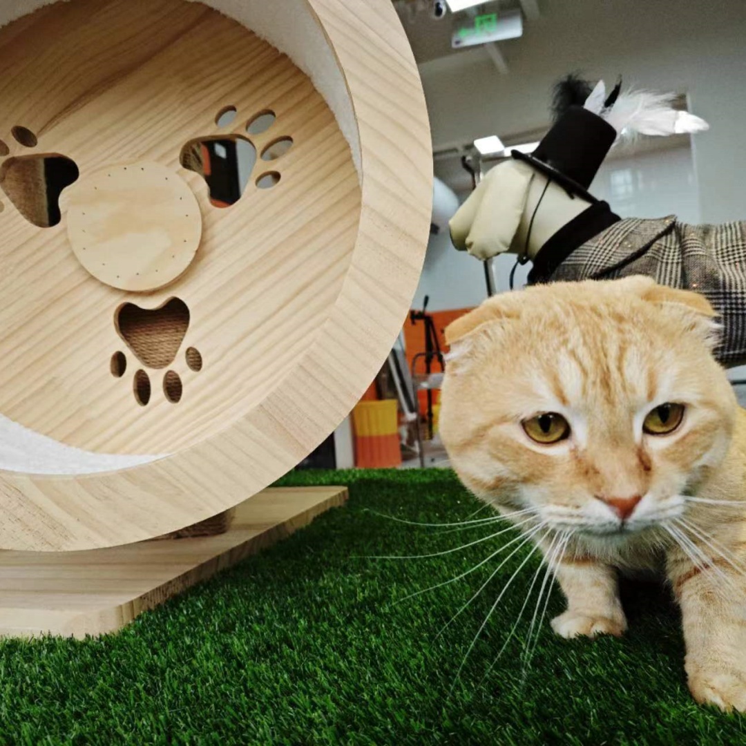 Alfombra de Césped Artificial para Exterior de 3FTx10FT, Rollo de Pasto Falso Grueso y Realista para Decoración de Patio, Balcón y Jardín, Tapete de Drenaje para Perros y Mascotas, 1.38" de Altura de Fibra — imagen 10