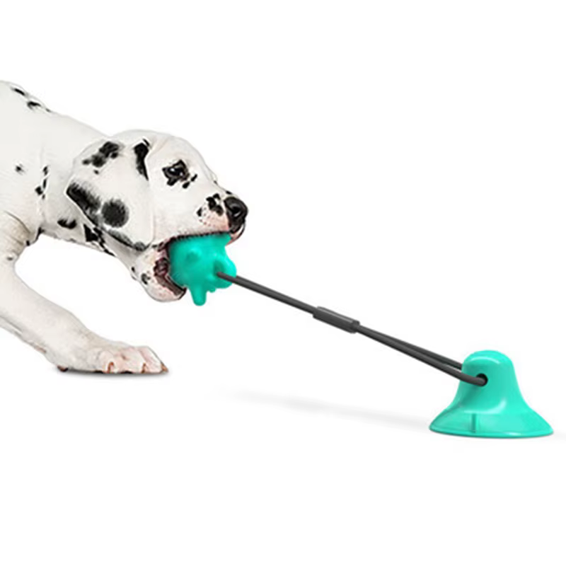 Pet supplies new product sucker dogs toy molar bite resistant club buy 1 top 4 sets — image 5