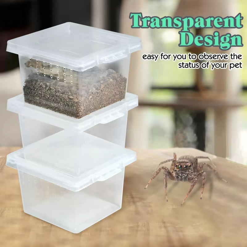 Transparent Portable Reptile Insect Breeding Box Small Pet Observation Container Spider Lizard Keeping Container — image 1