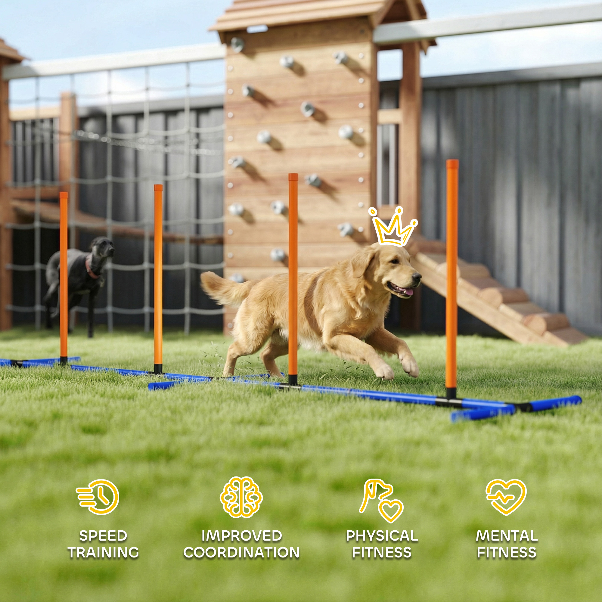 Equipo de Entrenamiento de Agilidad Canina con Varillas Ajustables para Curso de Agilidad con Bolsa Portátil — imagen 8