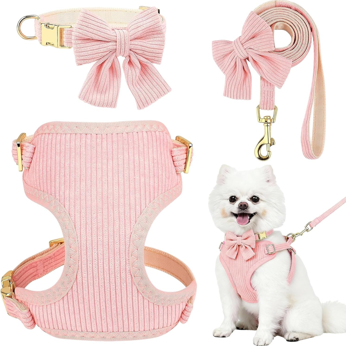 Conjunto de Collar y Correa para Perros Pequeños con Arnesón No Tirar y Cuello de Lazo — imagen 1