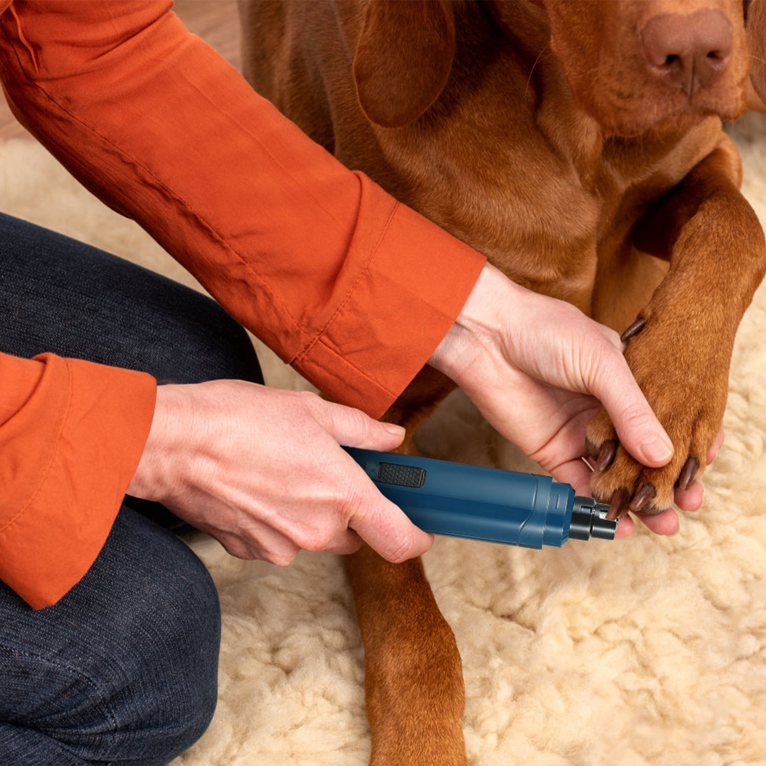 Afilador de Uñas Caninas 2 Velocidades Silencioso Recargable USB Triturador de Uñas para Mascotas Corte Preciso y Suave para Perros Pequeños, Medianos y Grandes y Gatos — imagen 9