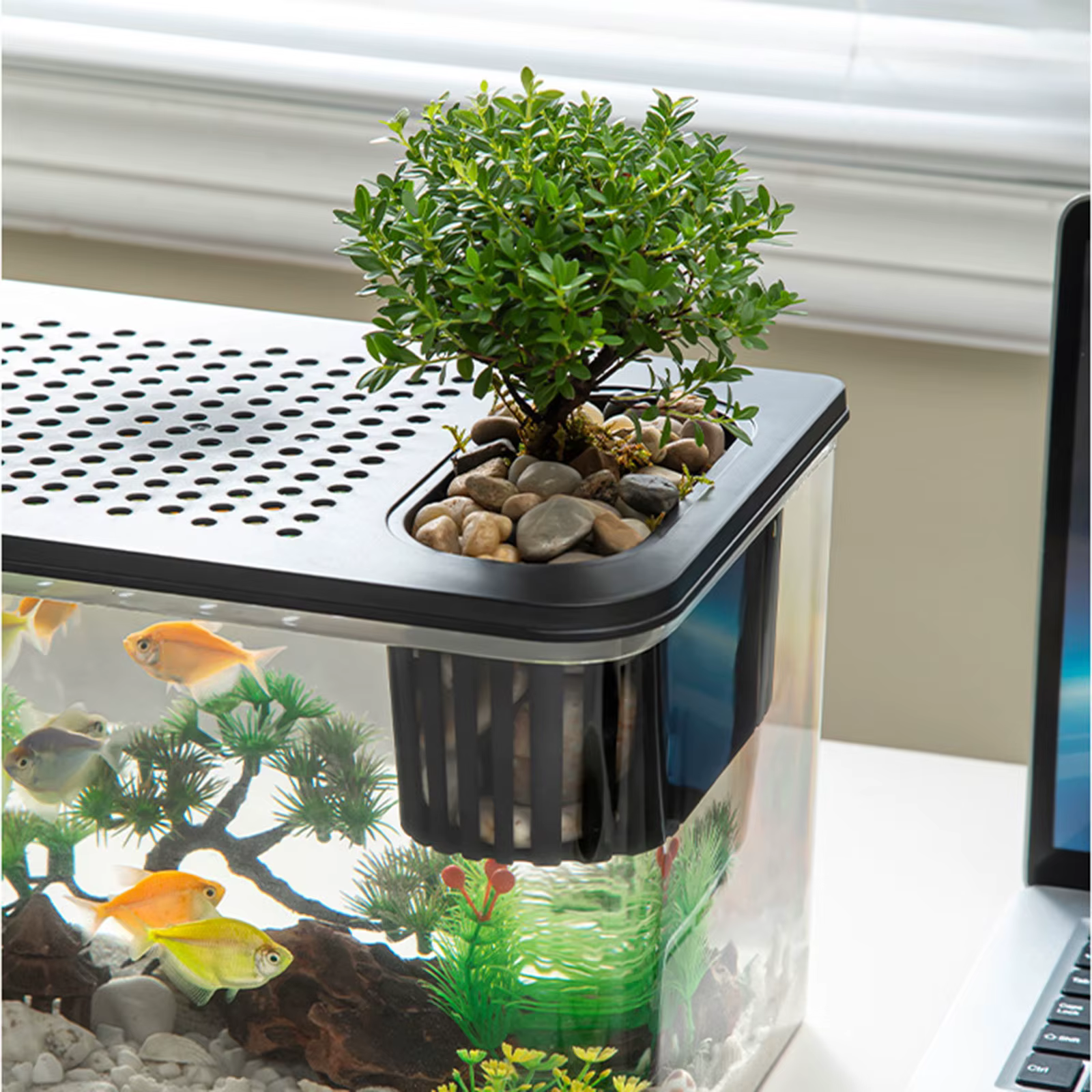 Reptile Terrarium Clear View Breeding Tank Habitat Cage Small Fish Tank Feeding Box for Betta Fish Crayfish Snake Chameleon — image 3