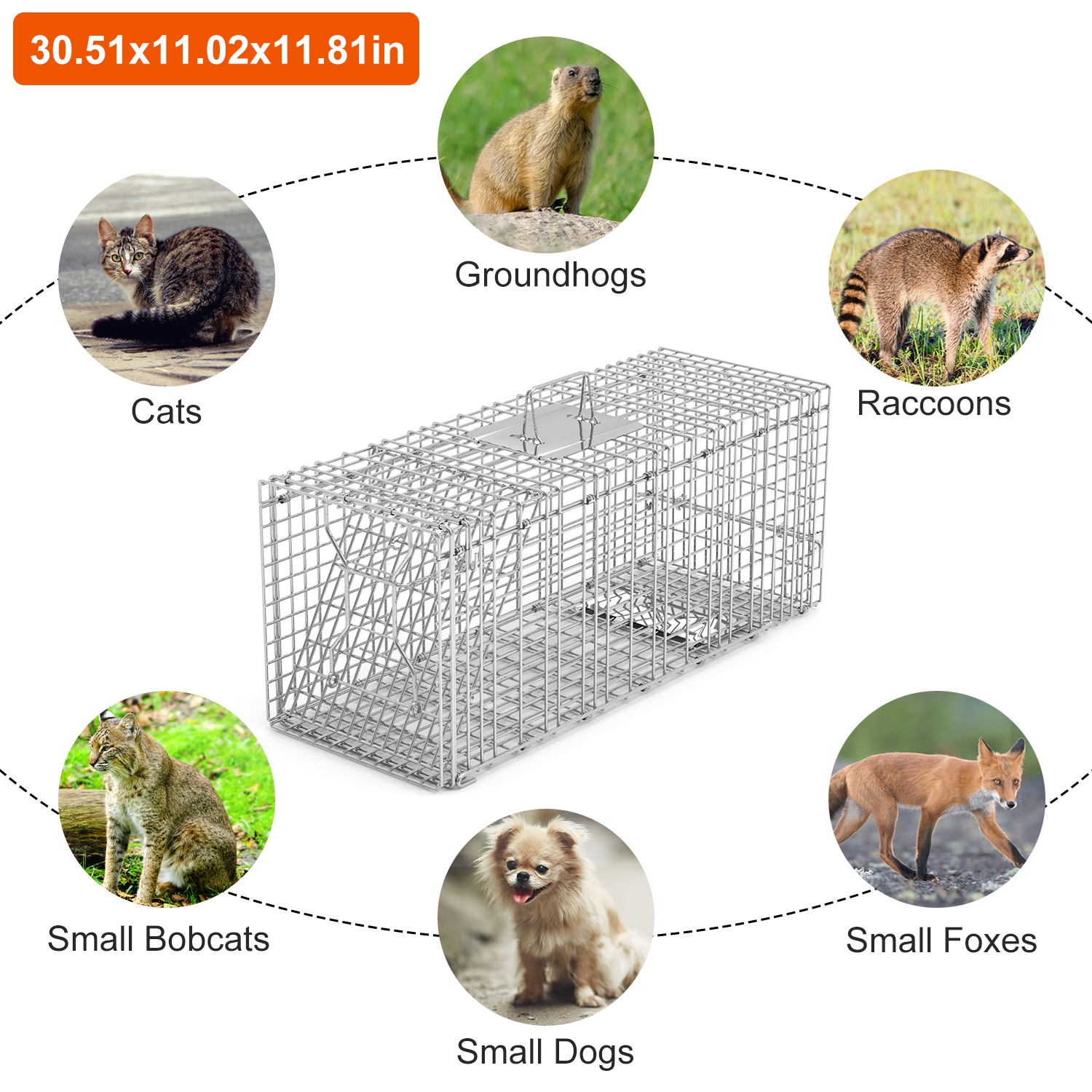Humane Cat Trap Cage Catch Release Live Animal Rodent Cage Collapsible Galvanized Wire For Raccoons Beavers Groundhogs Foxes Armadillos Fedex Shipping — imagen 7