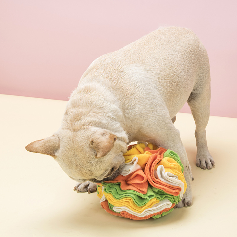 Actualización de Placa para Olor de Mascotas Pelota de Olor Canina Comida para Olor — imagen 2