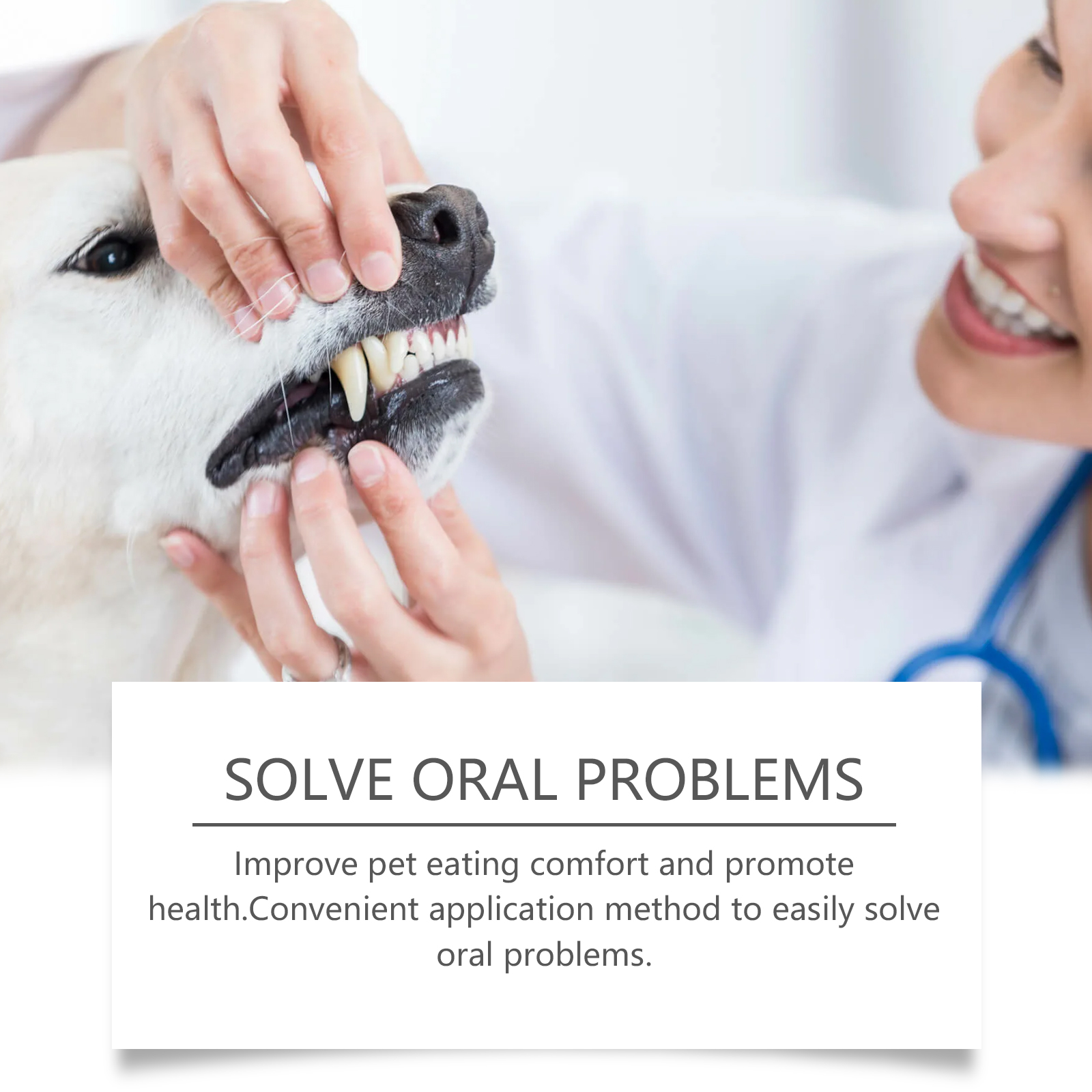 Gel de Reparación Oral para Mascotas Yegbong - Limpieza y Eliminación de Manchas Dentales Diaria — imagen 5