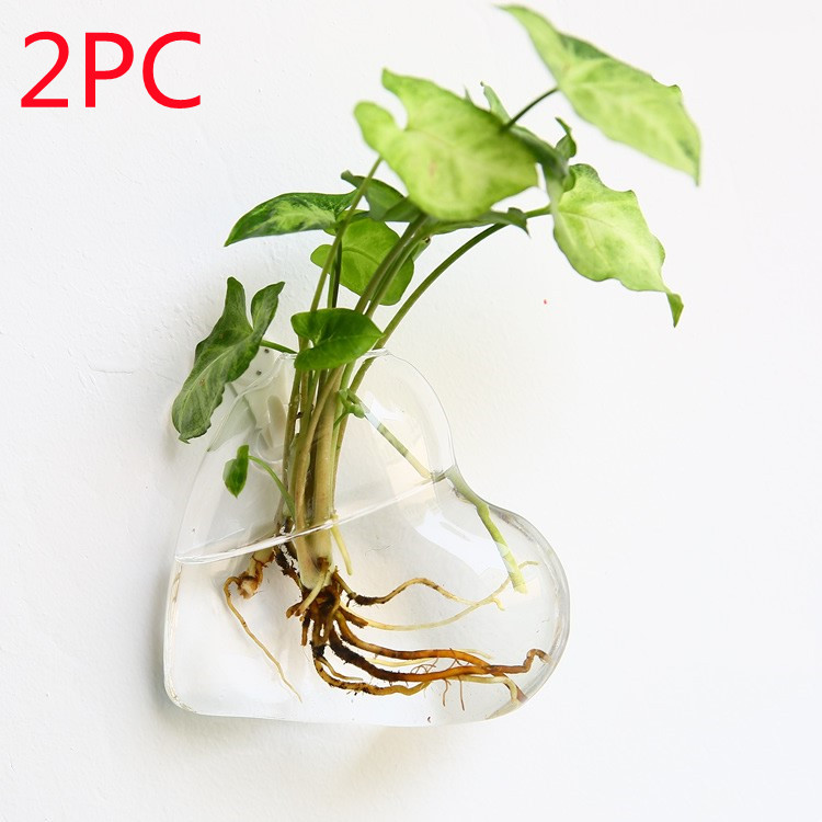 Vaso de Vidrio para Terrario Decorativo en Línea - Jardín Acuático para Hogar — imagen 23