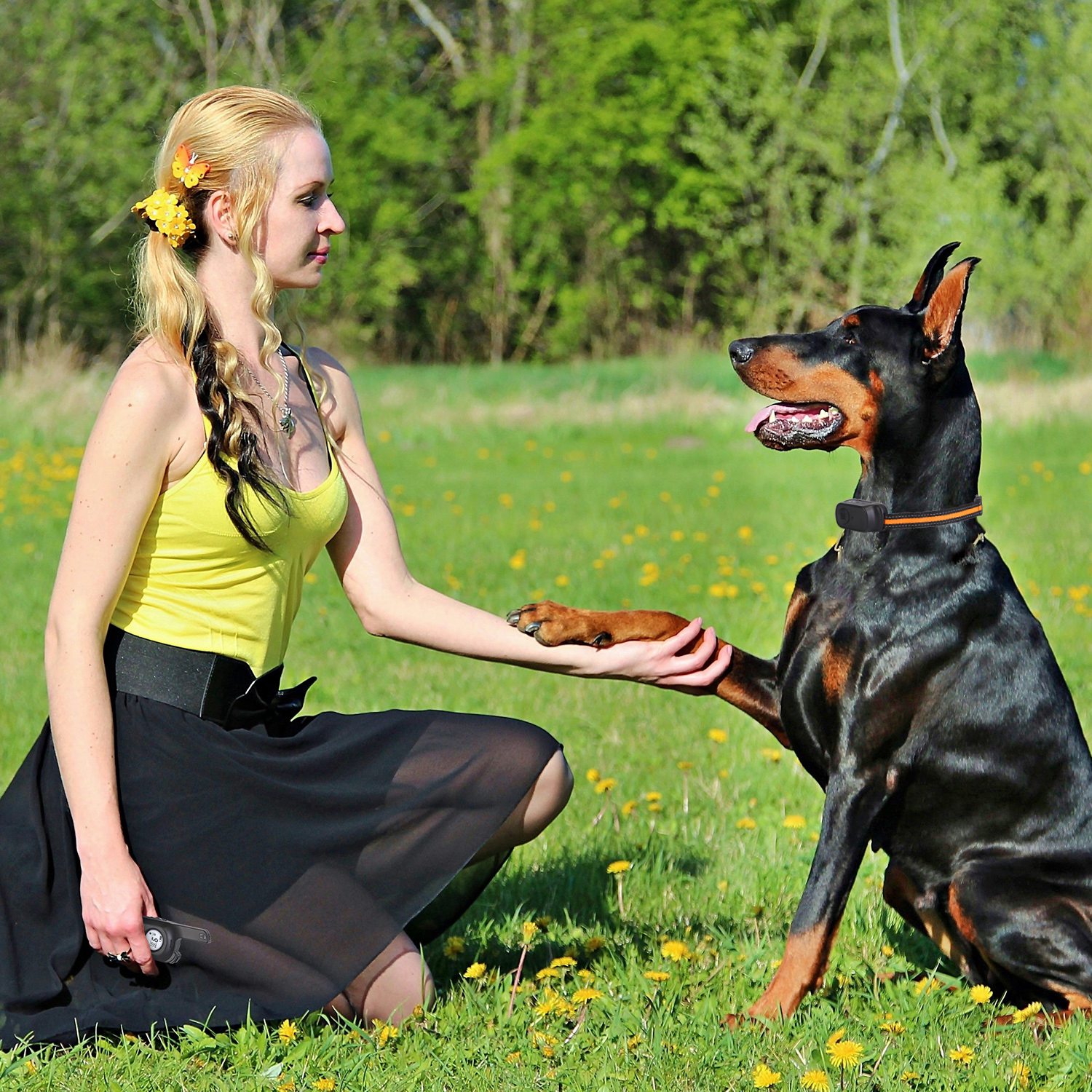 Collar de Adiestramiento para Perros IP65 Resistente al Agua con Voz, Vibración y Corrección Eléctrica - 3 Canales, Transmisor Recargable con Grabación y Bloqueo de Teclado — imagen 2