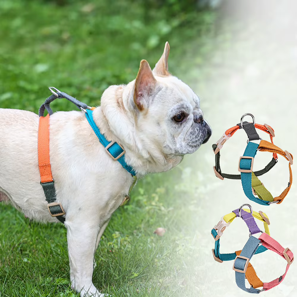 Dog Harness – Easy on And Off, No Choke Dog Walking Dog Harness, adjustable Escape Proof Dog Harness for Small Medium Large Dogs — image 4