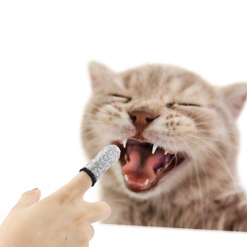 Kit de limpieza dental para mascotas con cepillo de dedos para perros y gatos - Solución para mal aliento y caries dentales — imagen 2