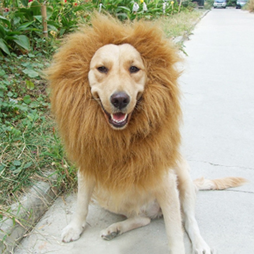 Disfraz divertido de león para perros con pelaje artificial — imagen 3
