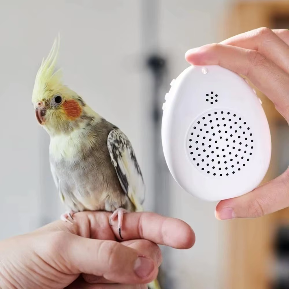 Máquina de Aprendizaje para Pájaros con Reproducción de Sonidos Interactivo — imagen 5