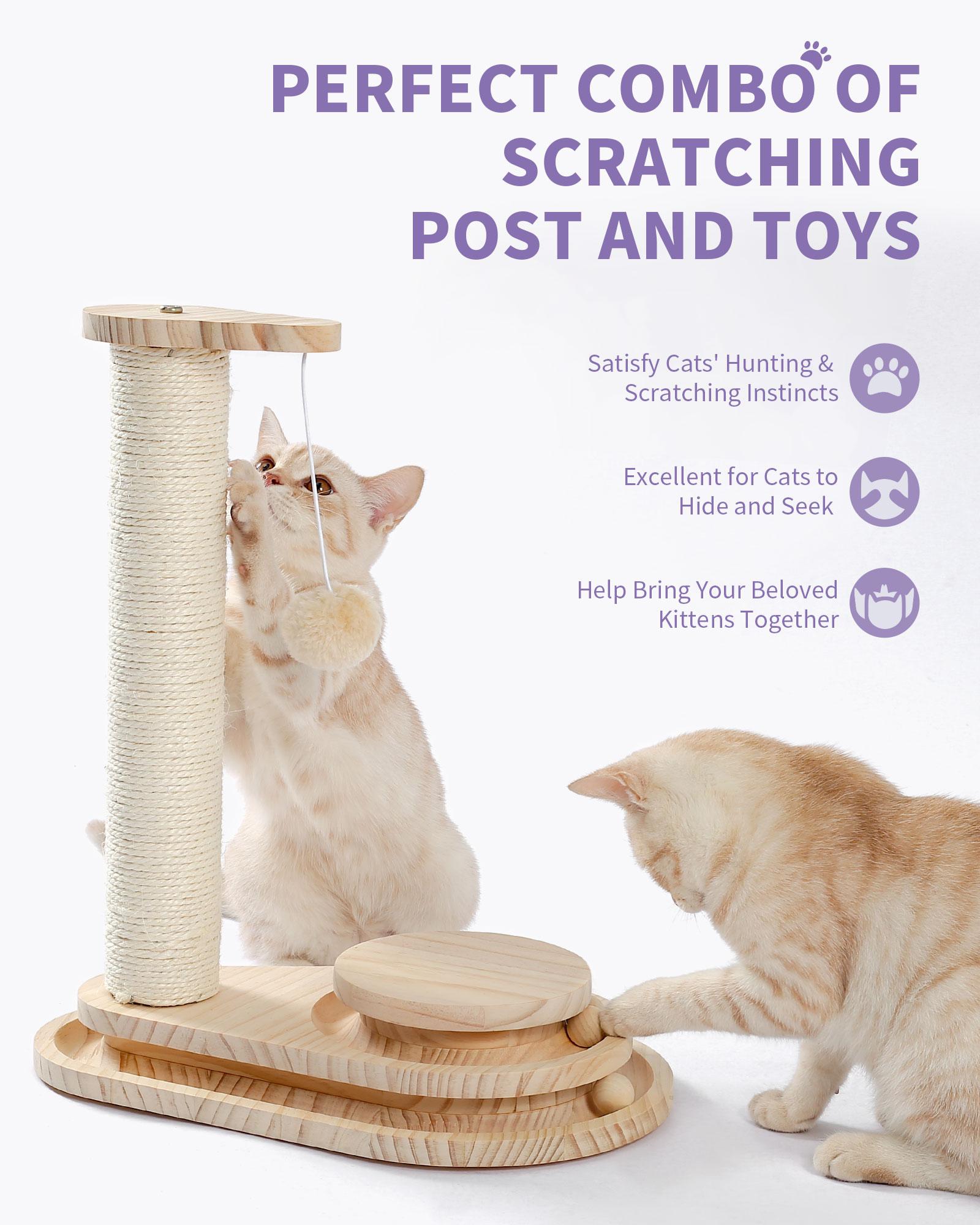 Indoor Cat Soft Scratching Board And Interactive Ball Track Toy Cat Rest And Grooming Supplies — image 2