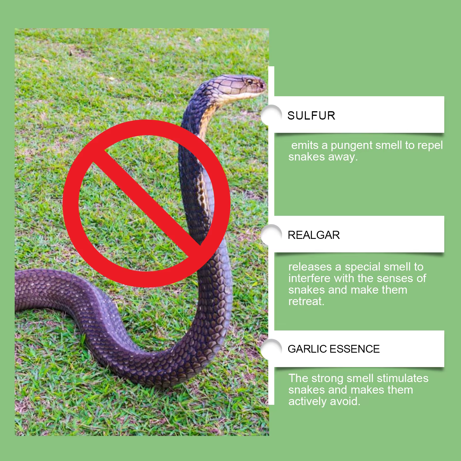 Snake Deterrent Set The Smell Repels Snakes and Keeps them Away Long-lasting Effect and Long-lasting Protection — image 4