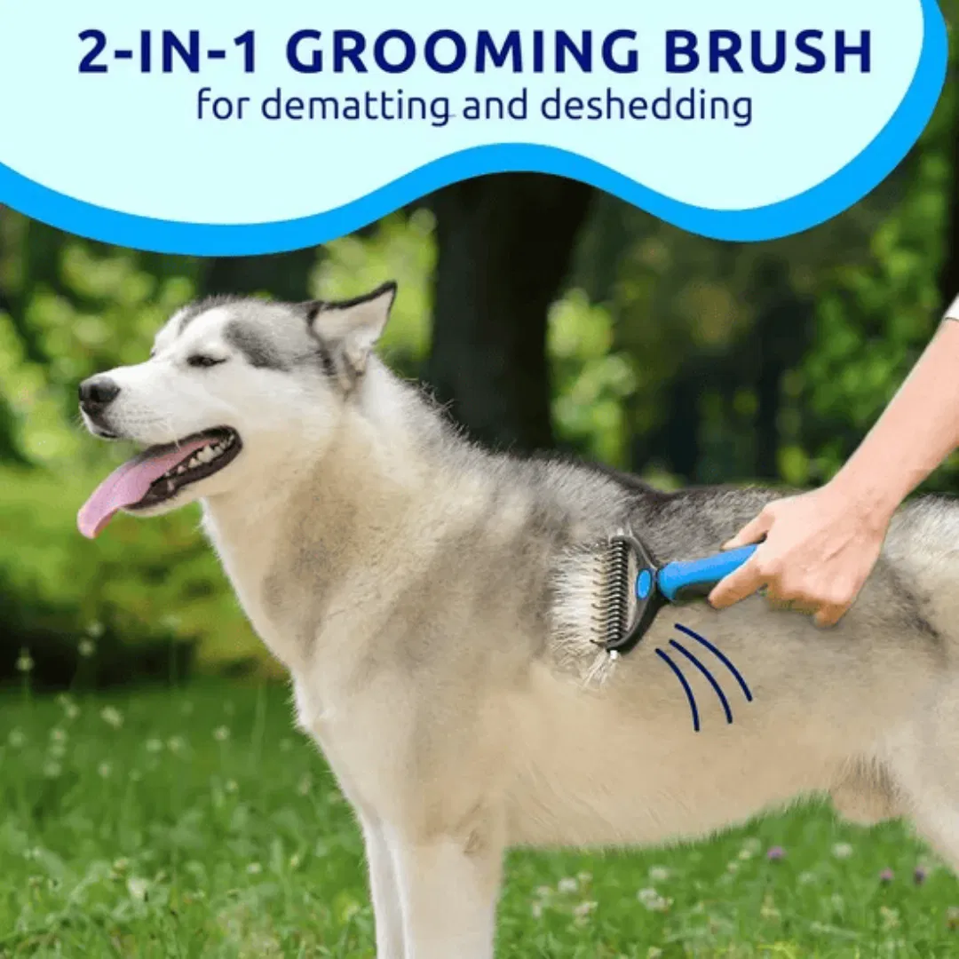 Blue pat your pet hair removal dog brush for hair removal - indoor cats use cat brush, long and short haired dogs use double-sided cat brush for hair removal and beauty tools, skin friendly — image 5