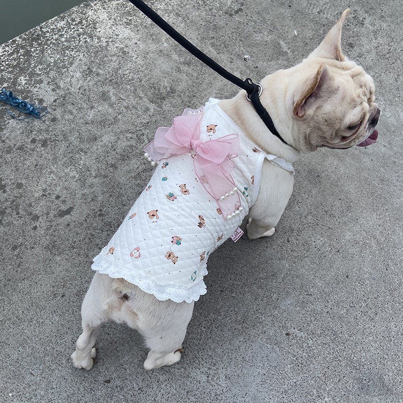Pet Clothes Spring Fall And Winter Cat Clothes Ins Faro Clothes Dog Clothes Beautiful Clothes — image 3