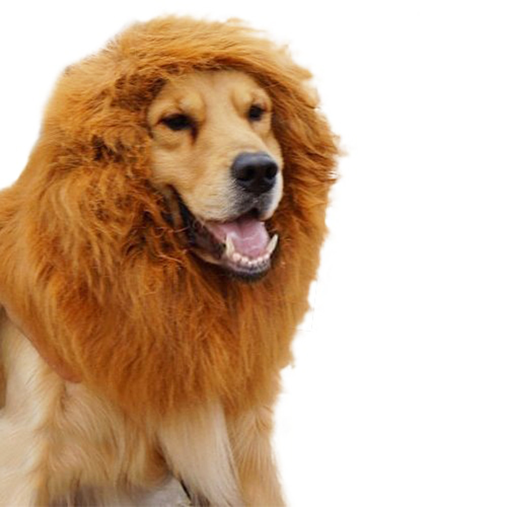 Disfraz divertido de león para perros con pelaje artificial — imagen 2