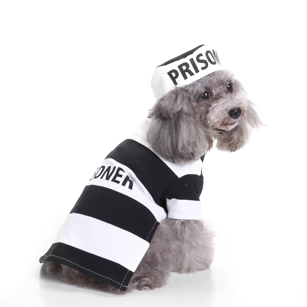 Dog Halloween costume with funny costumes — image 1