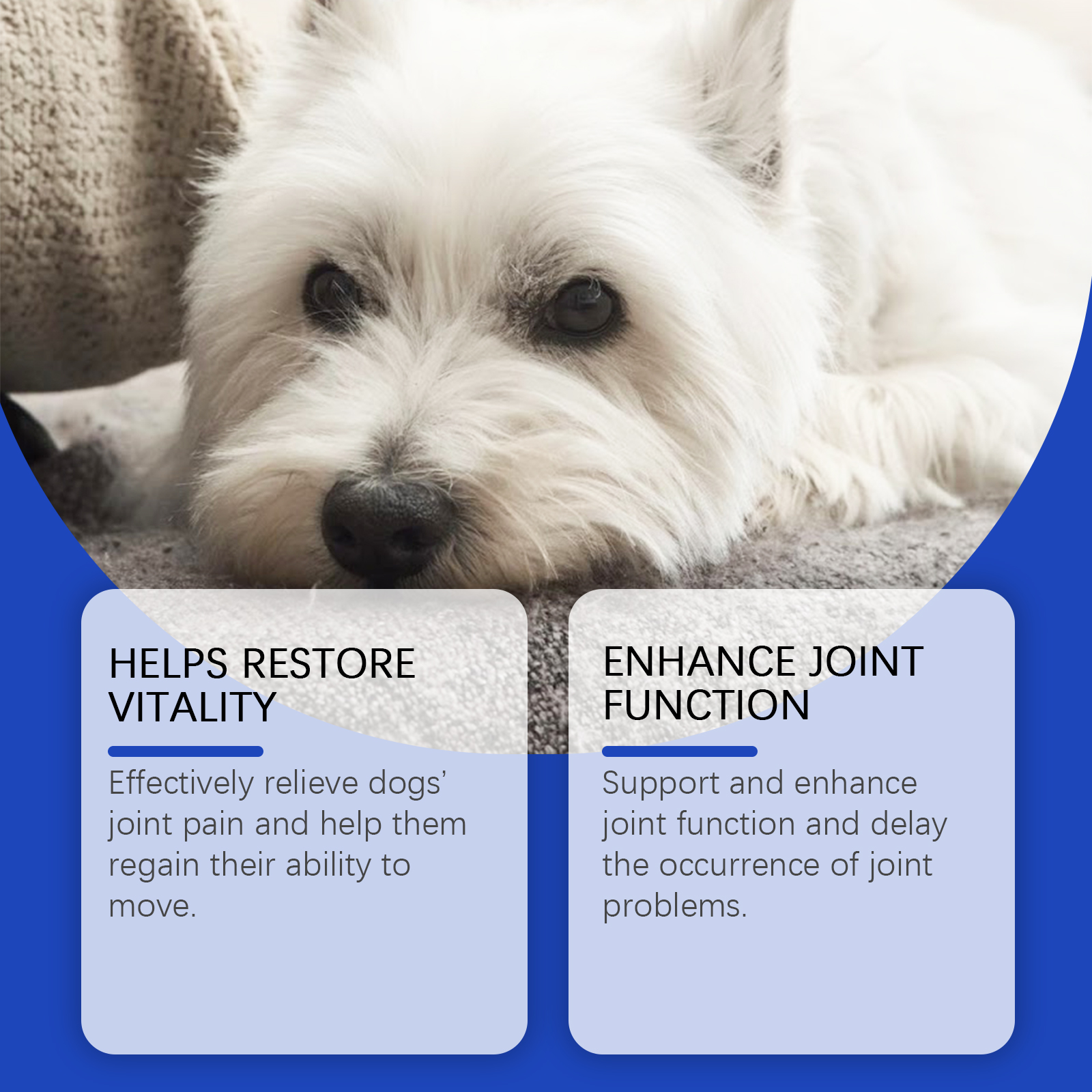 Suplementos Líquidos para Alivio de Articulaciones Caninas - Cuidado y Soporte para Todas las Razas, Reduce el Dolor Articular, La Inflamación y Mejora la Movilidad — imagen 10