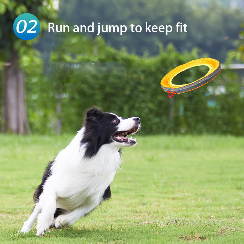 Interactive communication and retrieval of pet training dog frisbee with linen hollowed out frisbee — image 3