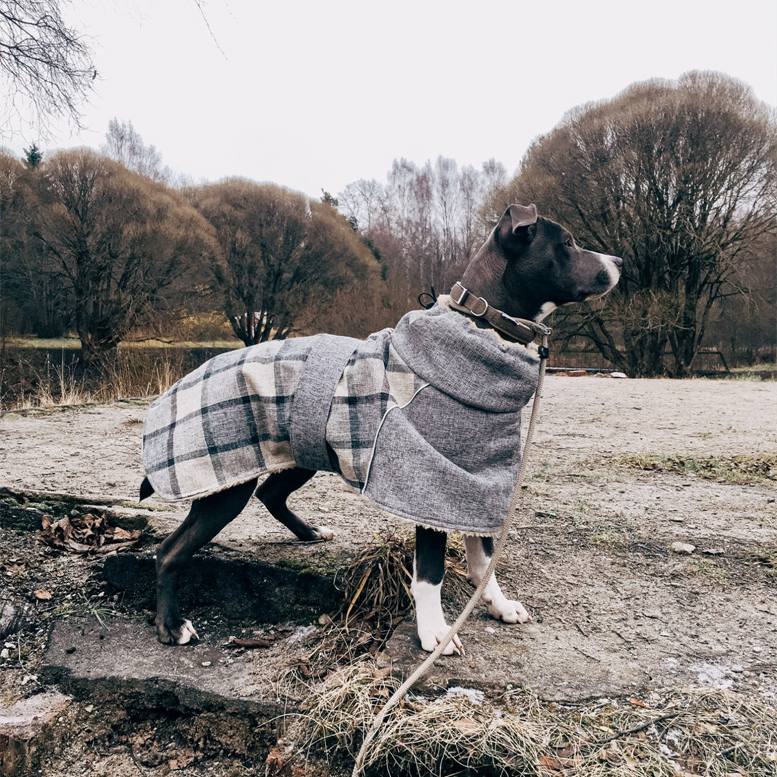Ropa para Mascotas de Otoño e Invierno - Chaqueta de Lino Plaid Nueva para Perros y Gatos — imagen 3