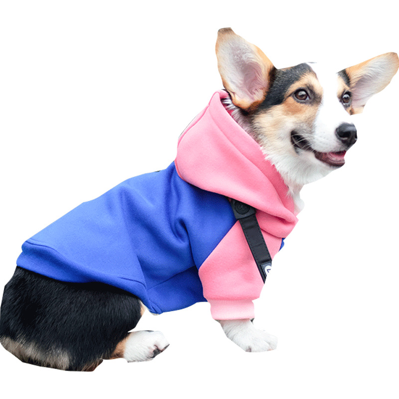 Ropa para Corgos de Primavera y Otoño - Prevenir Pérdida de Pelo - Ropa para Perros Pequeños y Medianos — imagen 2