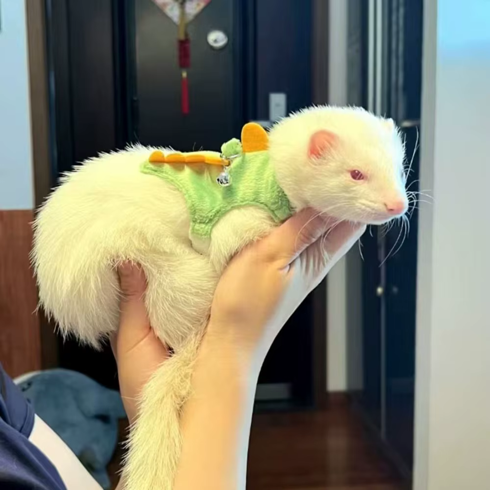 Soft Cartoon Ferret Vest Harness Adjustable Flannel Hamster Chest Strap Dragon Design with Bell Ferret Traction Rope Training — image 5