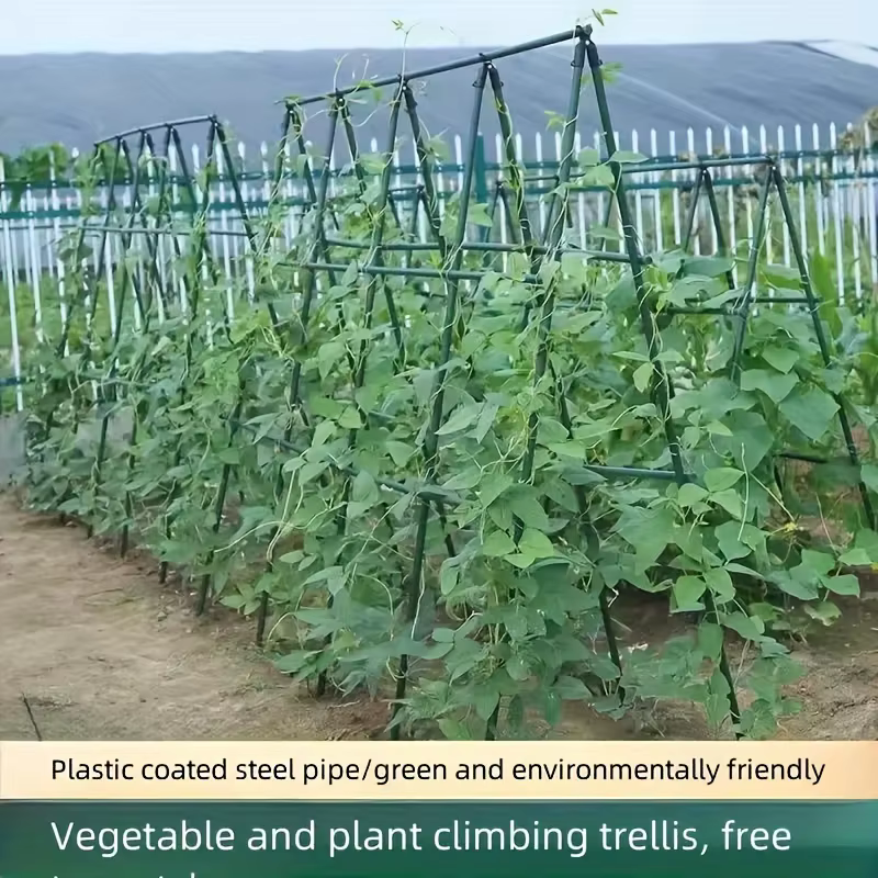 20 Piezas de Estacas de Jardín Multiuso - Soporte Duradero para Vegetales, Enredaderas y Uvas - Perfecto para Tomates, Pepinos y Más — imagen 3