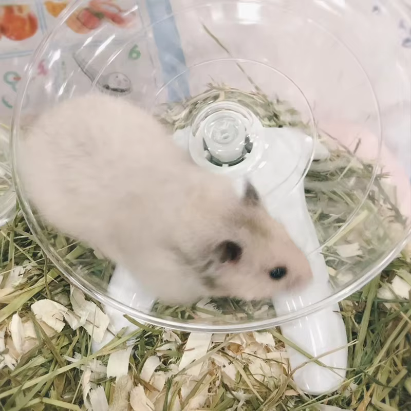 Pet Hamster Running Wheel Mute Flying Saucer Steel Axle Wheel Running Disc Toys Cage Small Animal Hamster Accessories — image 3