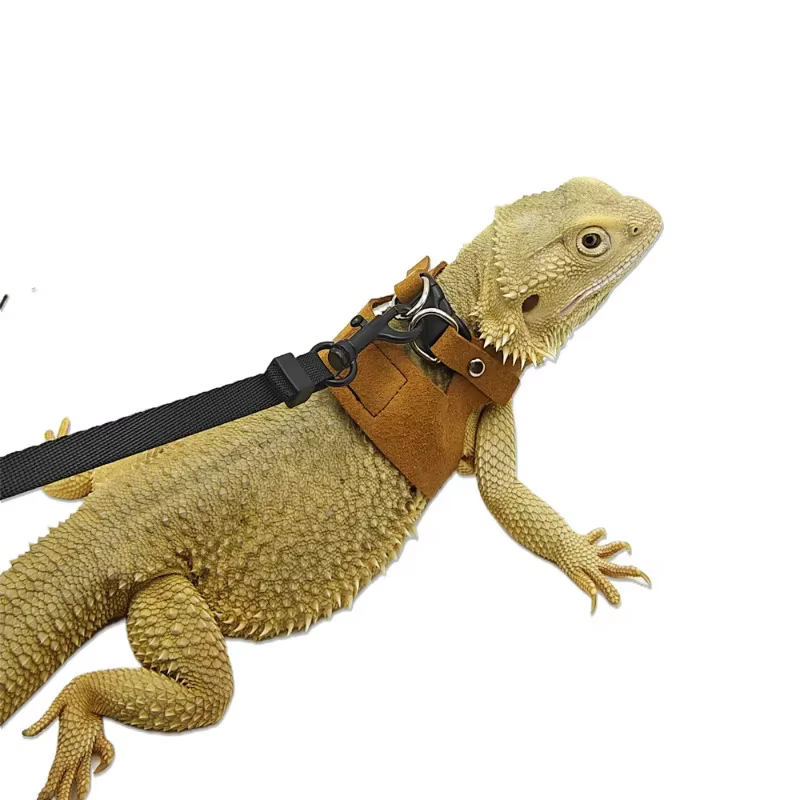 Set de 3 Piezas de Correa Dividida para Lagartos, Arnés Transpirable para Reptiles, Camaleones y Ardillas, Accesorio para Pasear Mascotas al Aire Libre — imagen 2