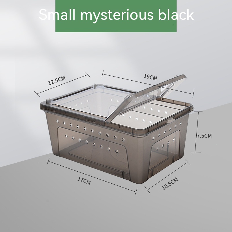 Caja para Alimentar Gusanos de Sedilla para Tortuga Pet — imagen 15