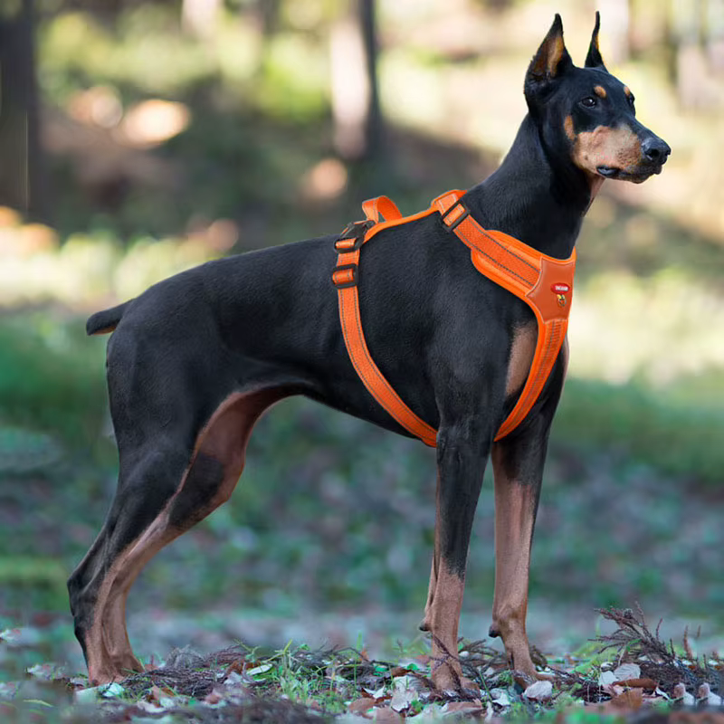 Dog Harness and Leash Set, Reflective, Anti-Pull, for Small and Medium-Sized Dogs, Escape-Proof — image 3