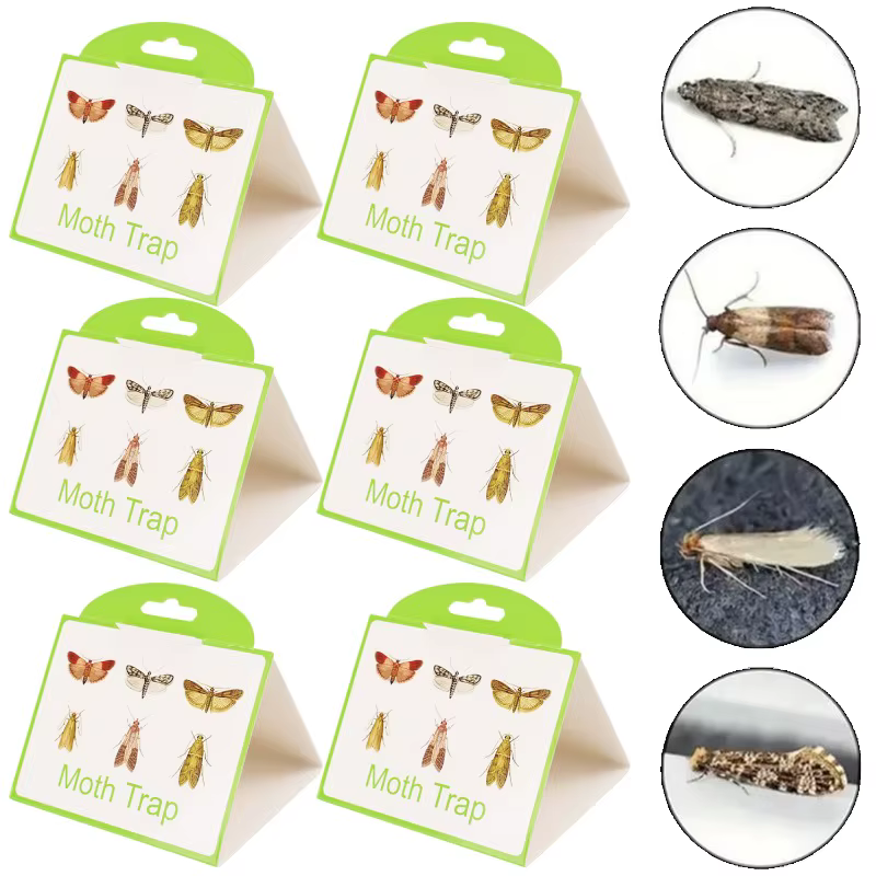 Non Toxic Moth Trap Green Frame White Background Sticky Effective Pantry Clothes Moth Catcher Safe Kitchen Cupboard Pest Control — image 5